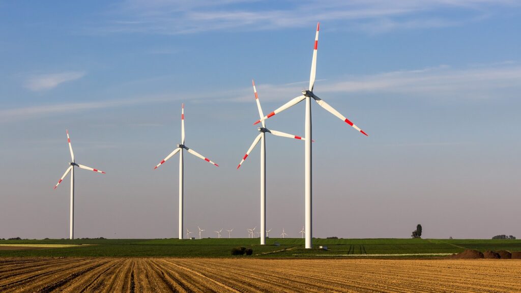 Trump fordert Rückbau von Windkraftanlagen