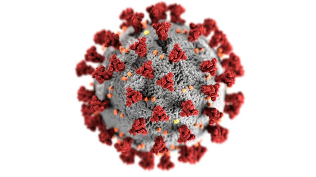 SARS-CoV-2 Immunabwehr Mechanismus: Wissenschaftler analysieren Zellreaktionen auf SARS-CoV-2 im Labor