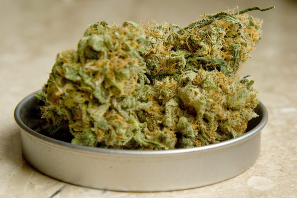 Drogenkonsum Europa Statistik: Europäische Karte mit Drogenkonsumstatistiken, die Cannabis- und Kokainverbreitung sowie synthetische Drogenentwicklung zeigen.