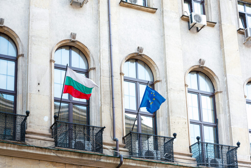 Proteste gegen Eurozonen-Beitritt: Demonstranten in Sofia protestieren gegen den Beitritt Bulgariens zur Eurozone