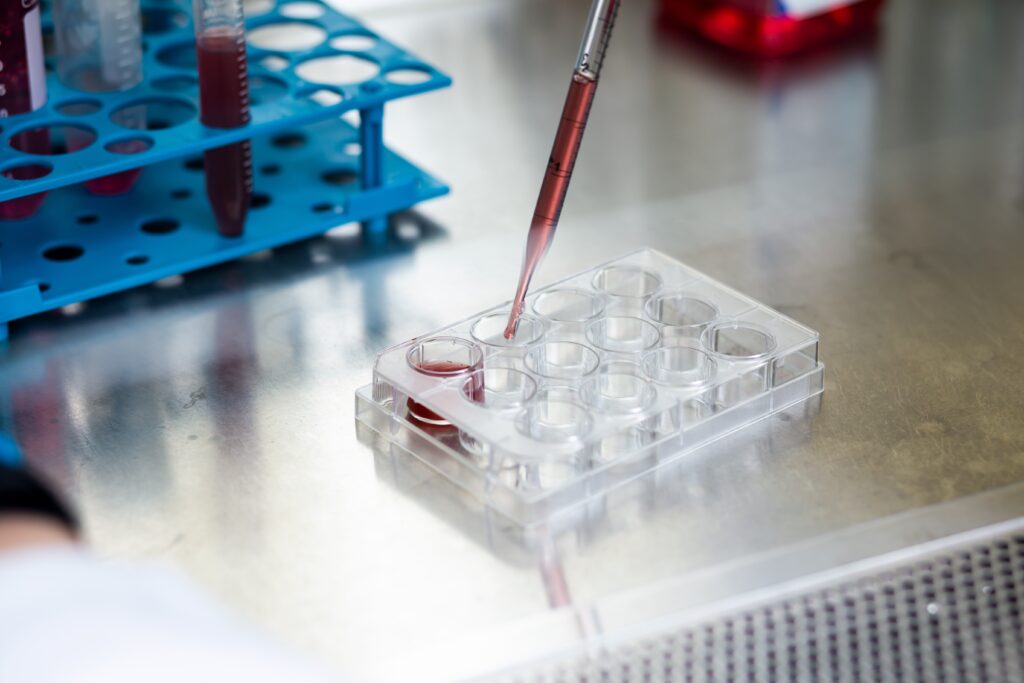 Senolytika gegen Zombiezellen: Wissenschaftler erforschen Senolytika zur Bekämpfung altersbedingter Krankheiten und Zellalterung